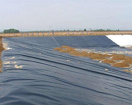 魚(yú)塘防滲土工膜